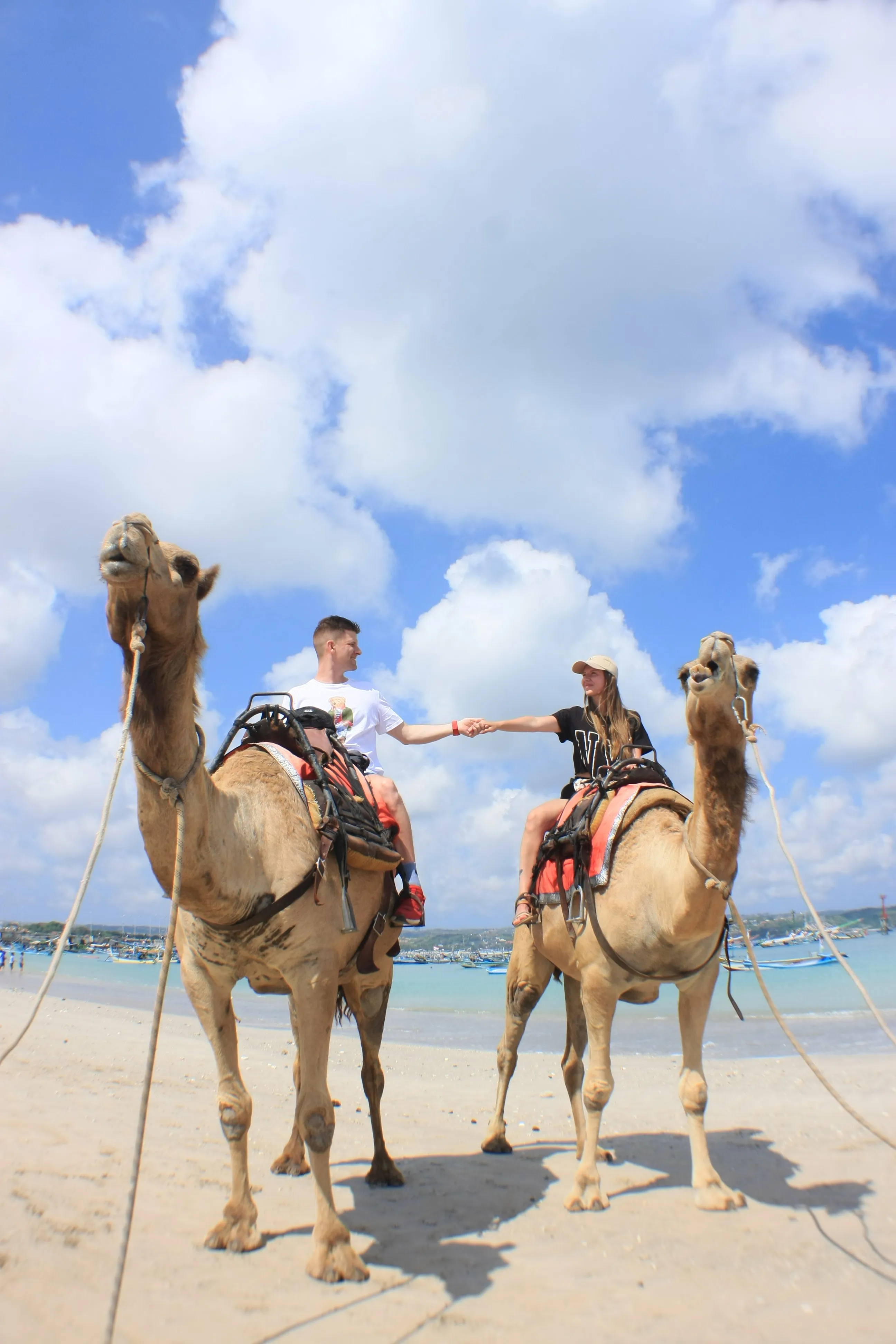 Bali Camel Adventure