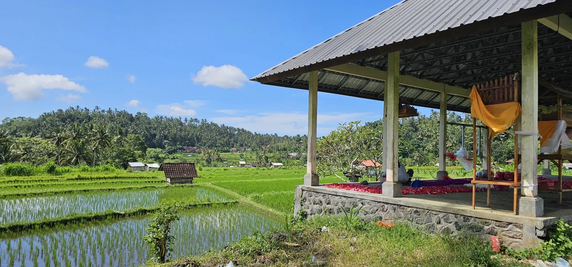 Bali MTB Adventures