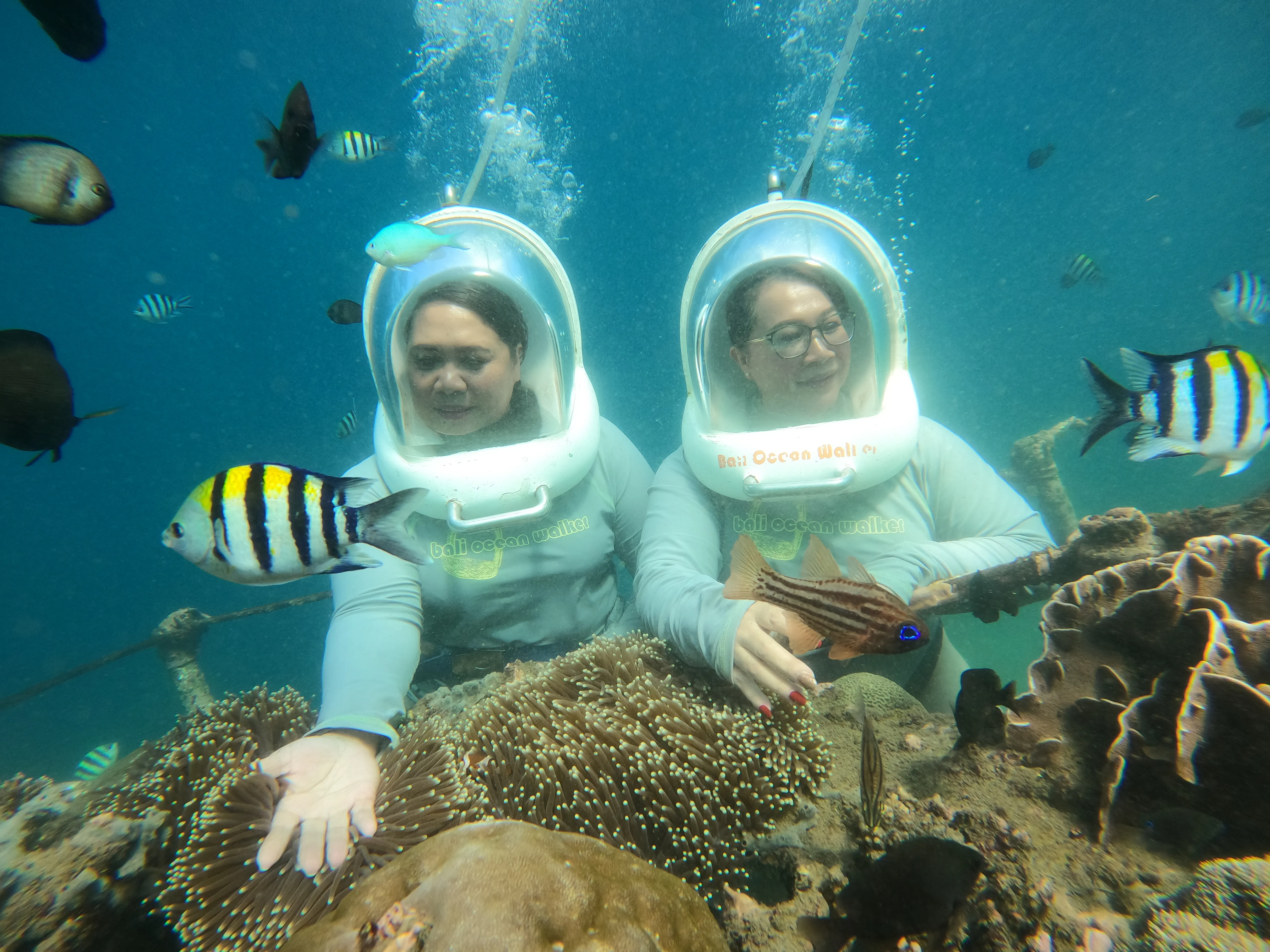 Bali Ocean Walker (BMR)