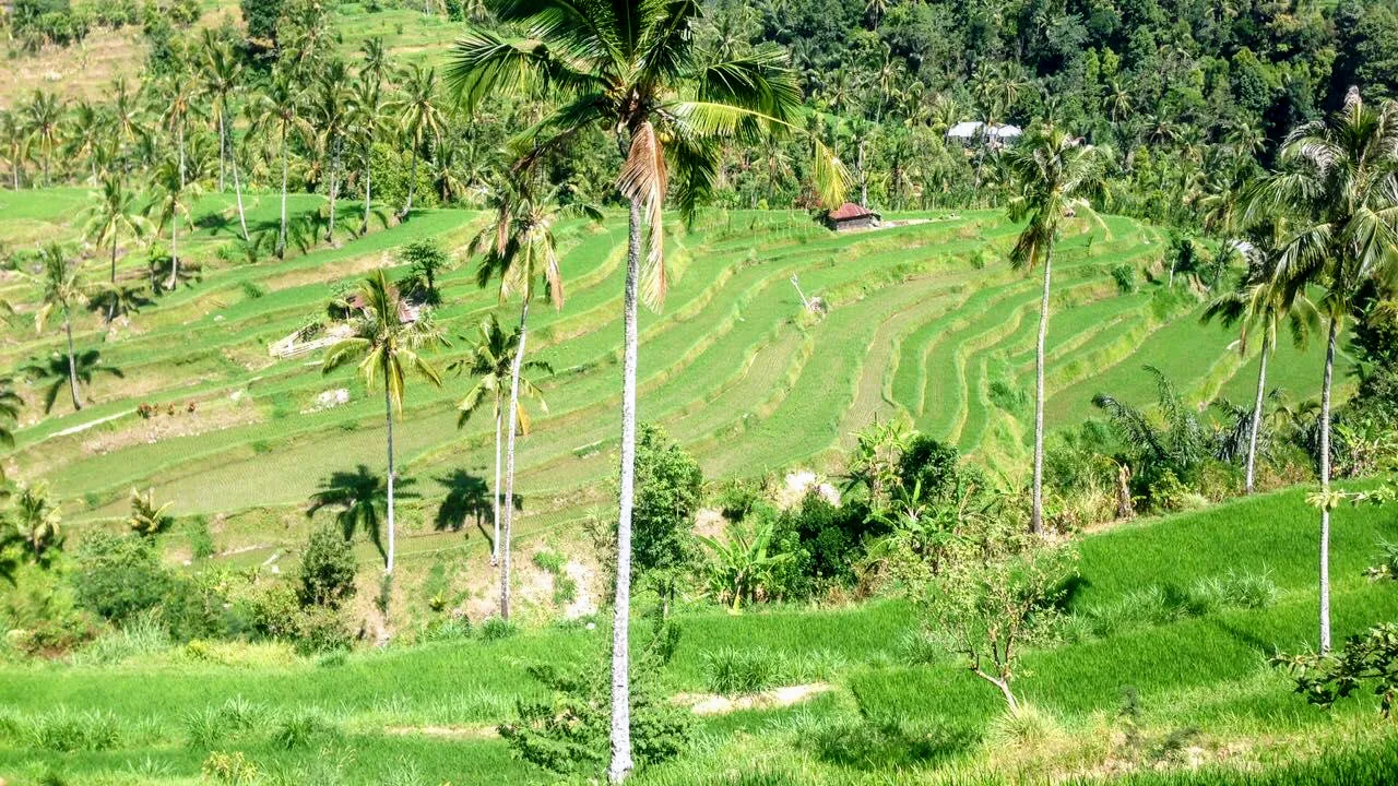 Bali Trekking Trails