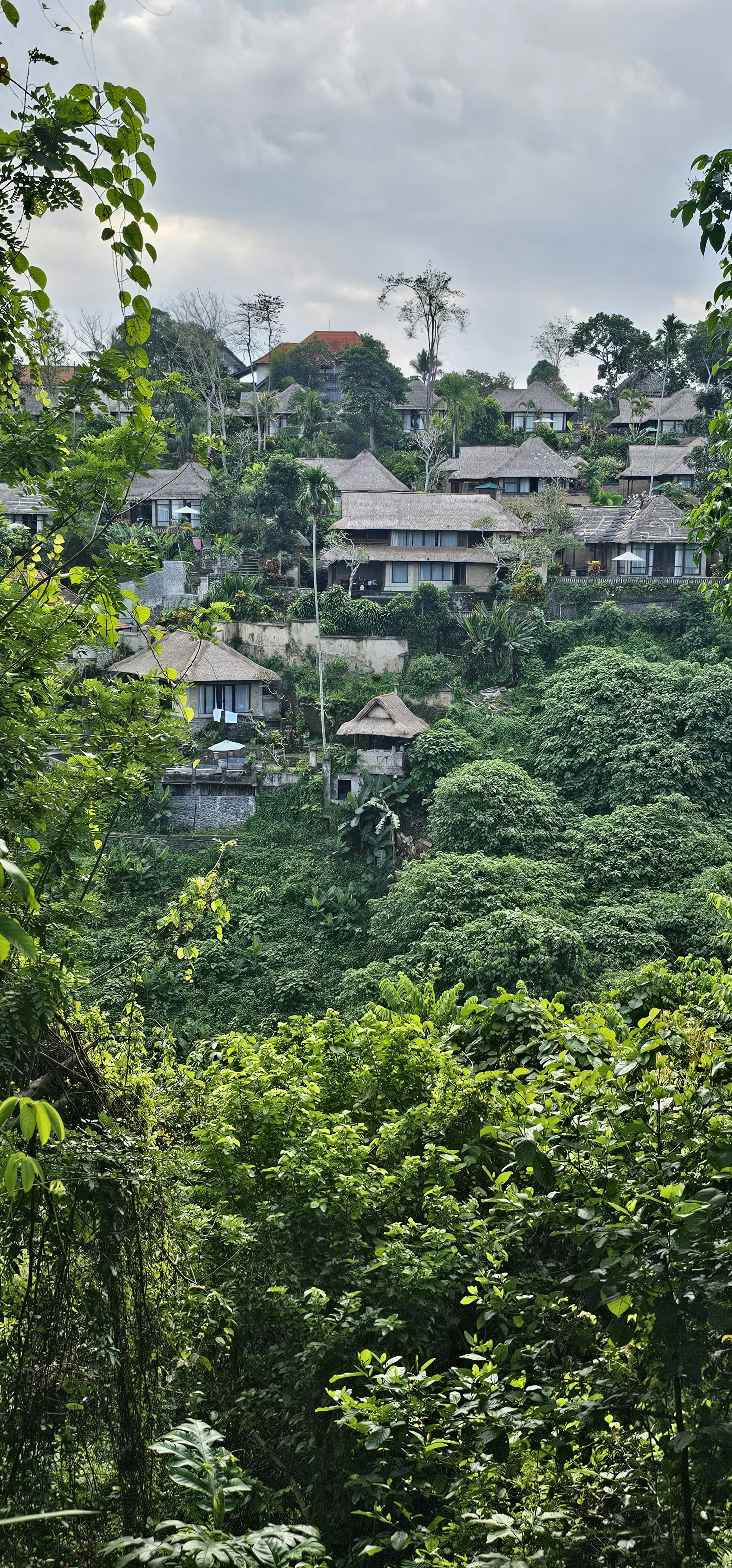 Bukit Campuhan - downhill - start here