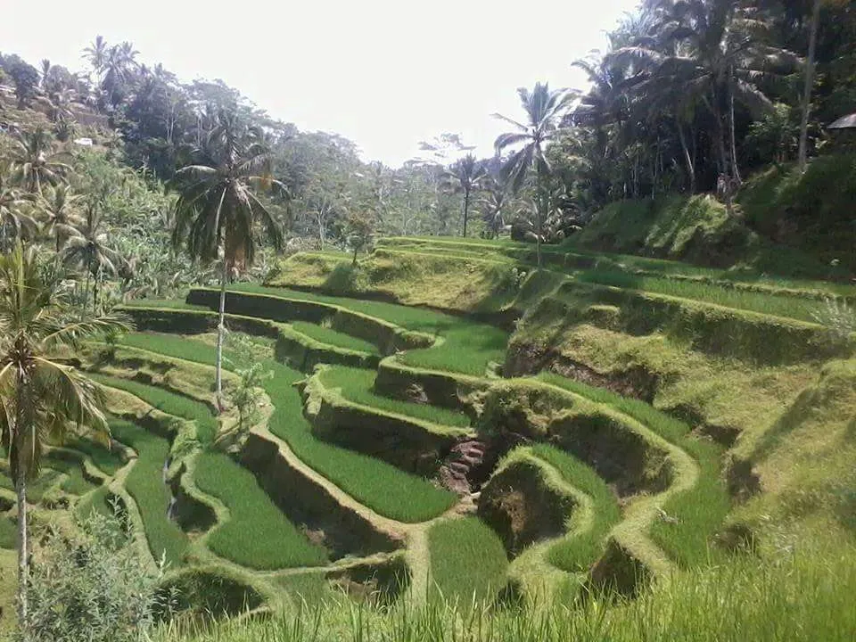 Hiking On Bali Tourist Information