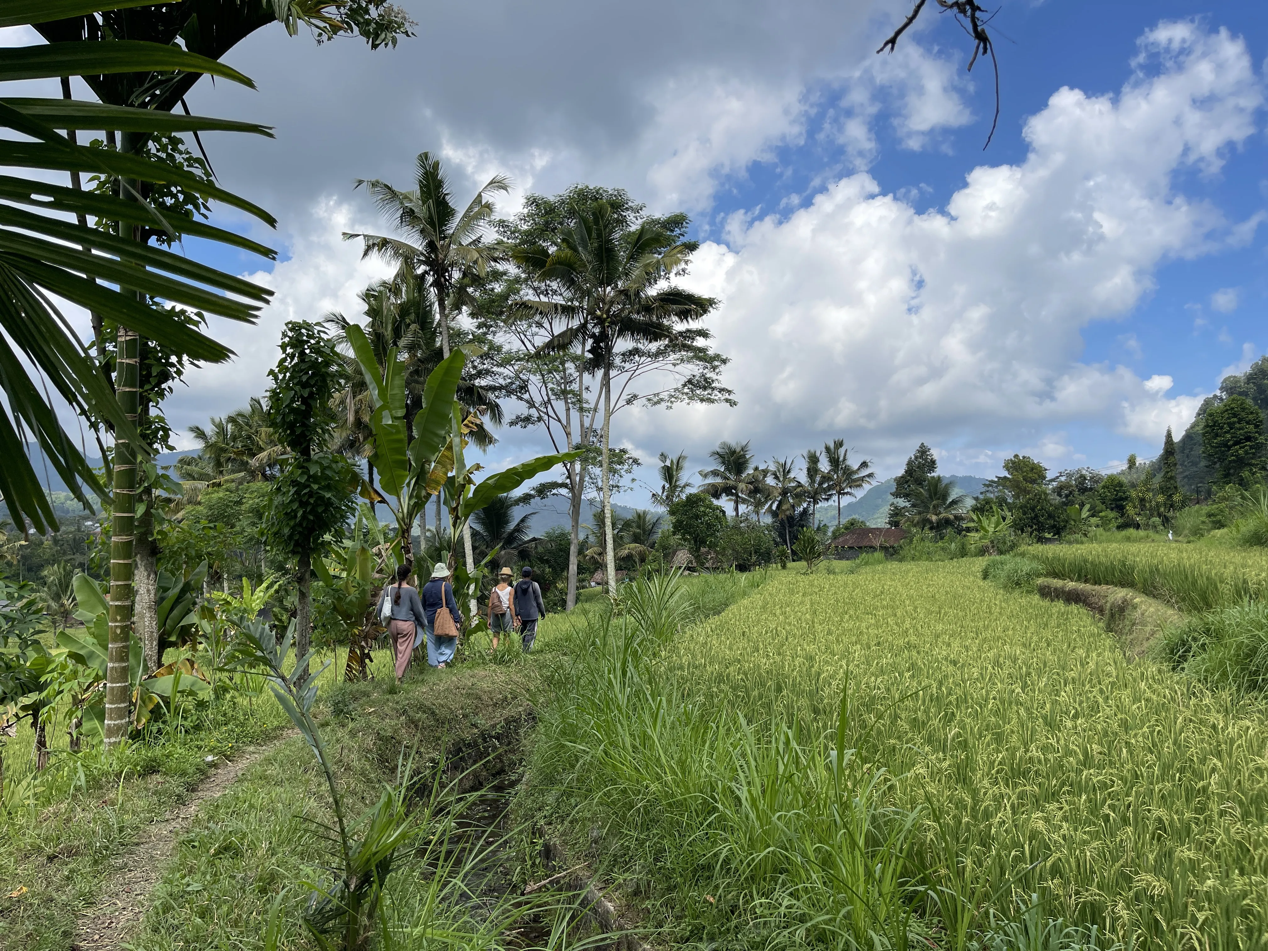 Komang Sideman Hiking Tours