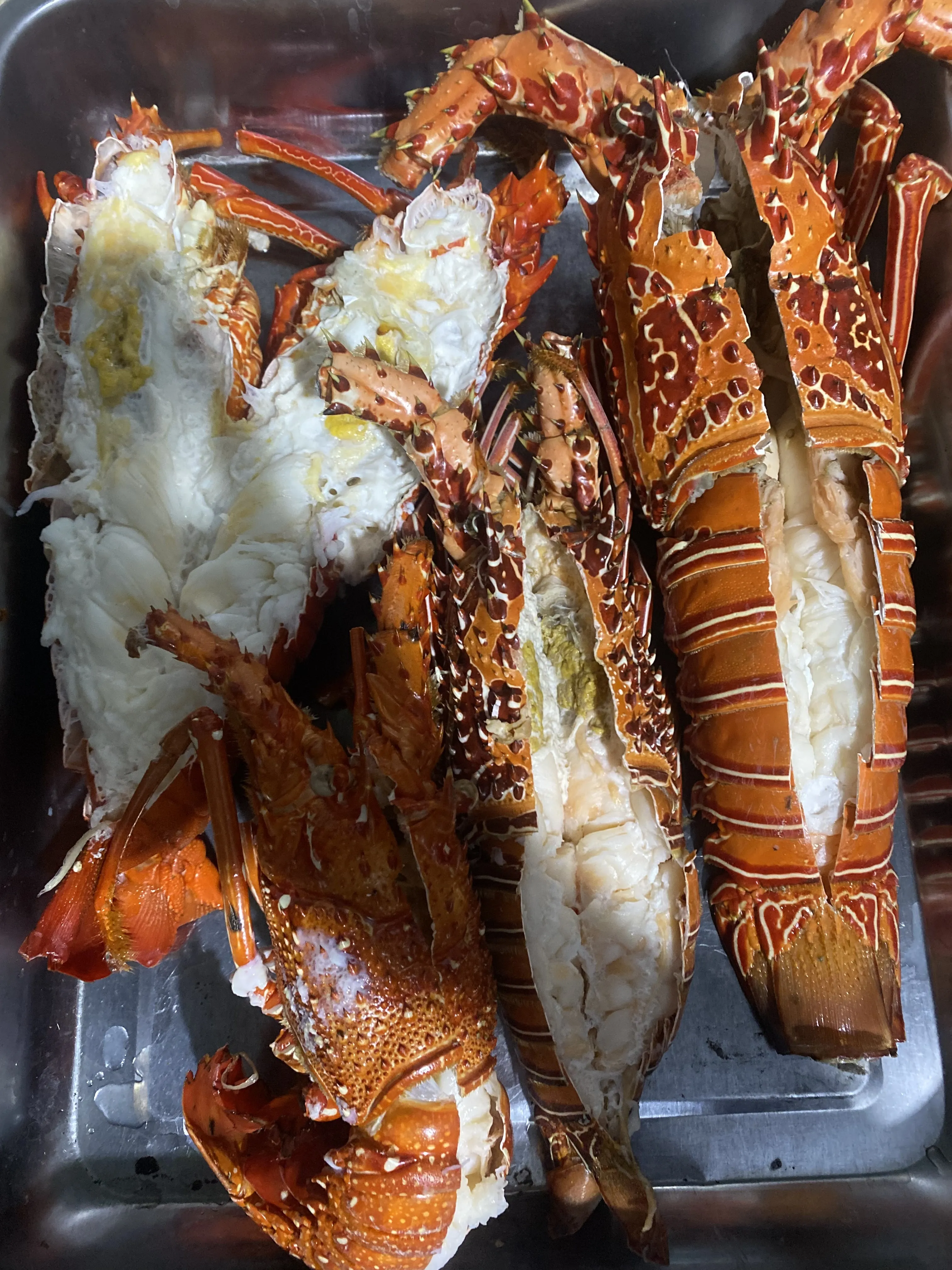 Mister Crab