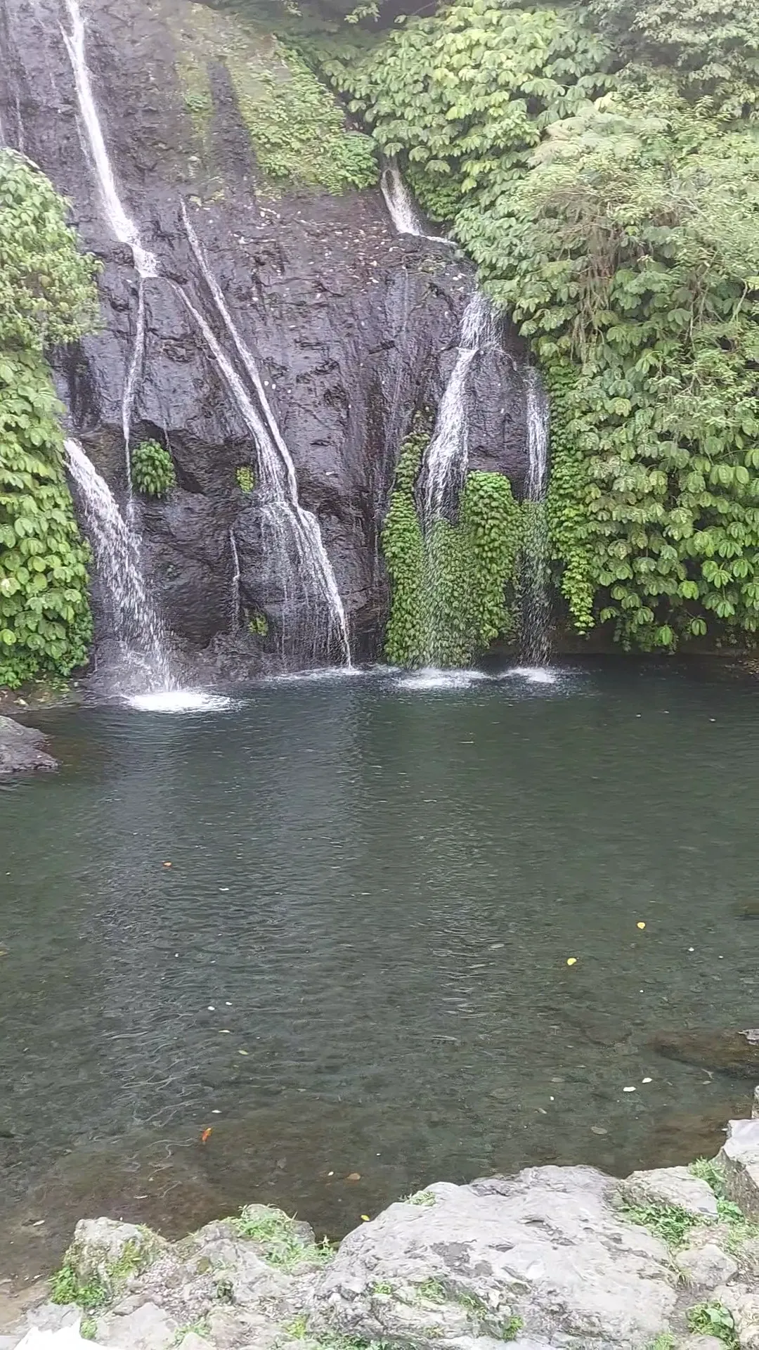 Munduk Waterfalls Trekking Point