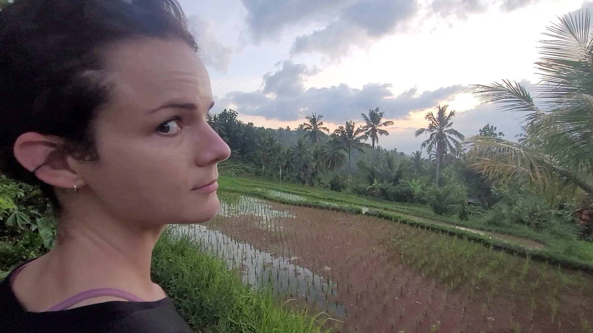 Rice Terrace Munduk