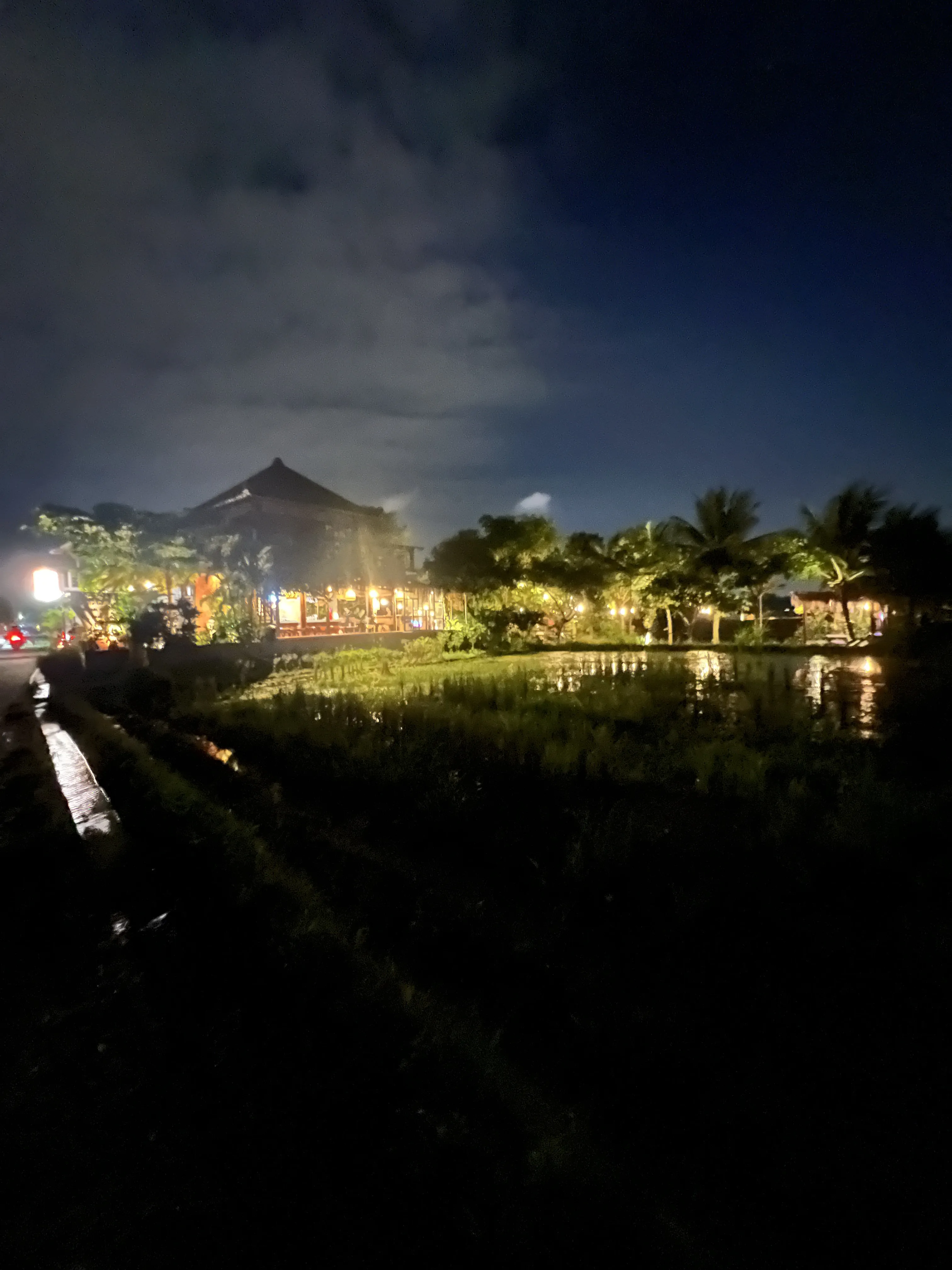 Sayan Rice Fields