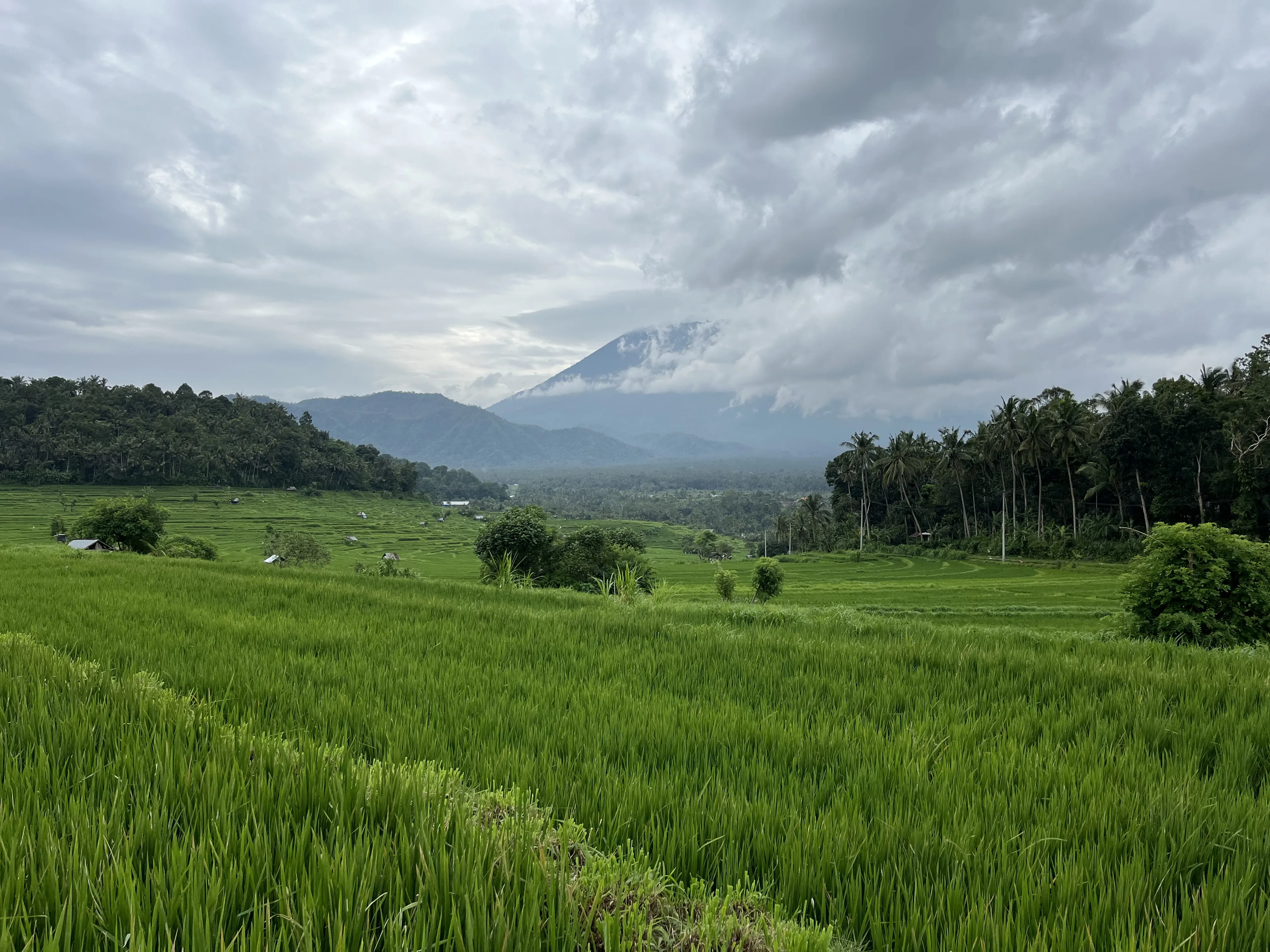 Subak Tenganan