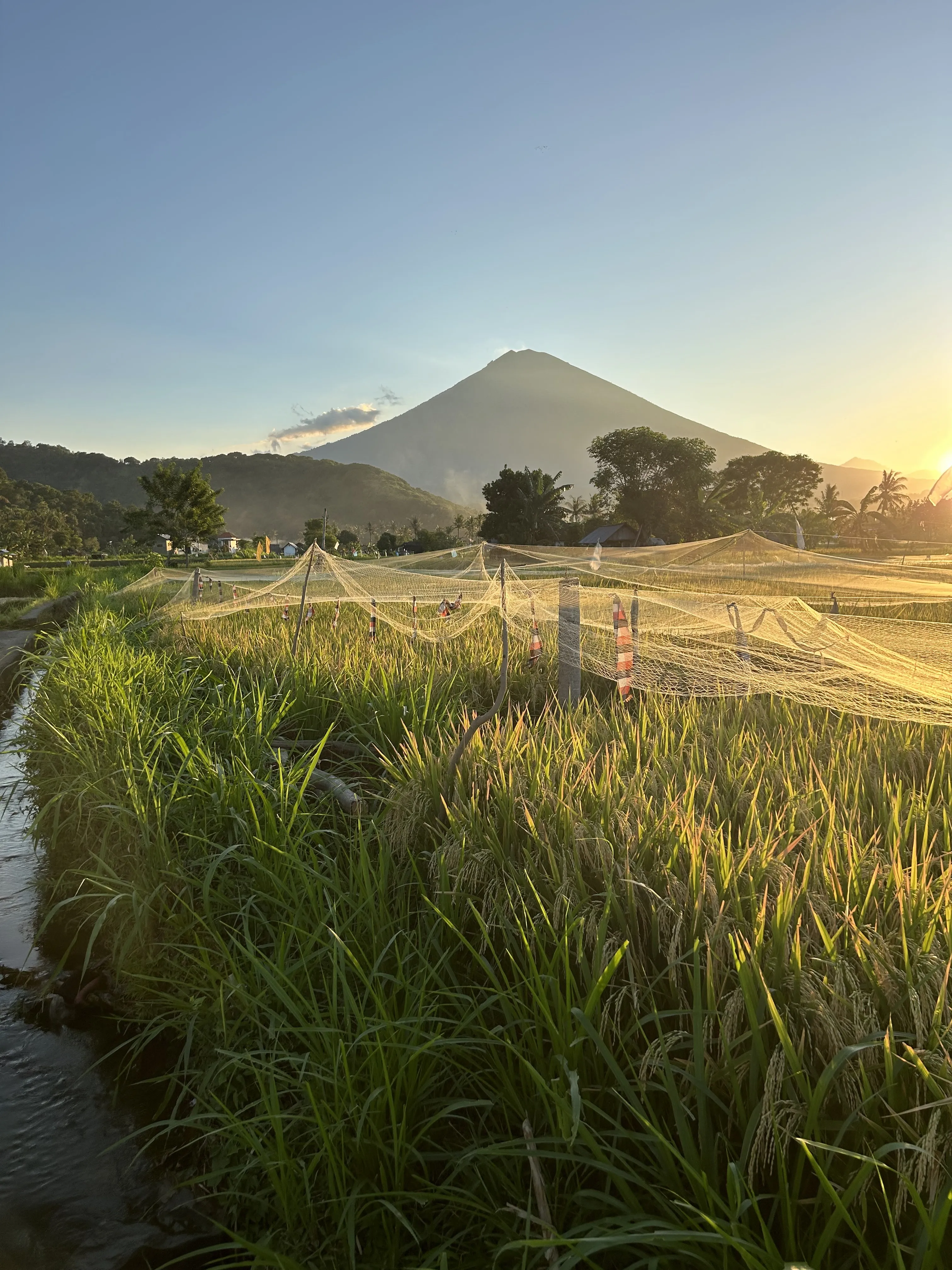 Trekking Therapie Bali