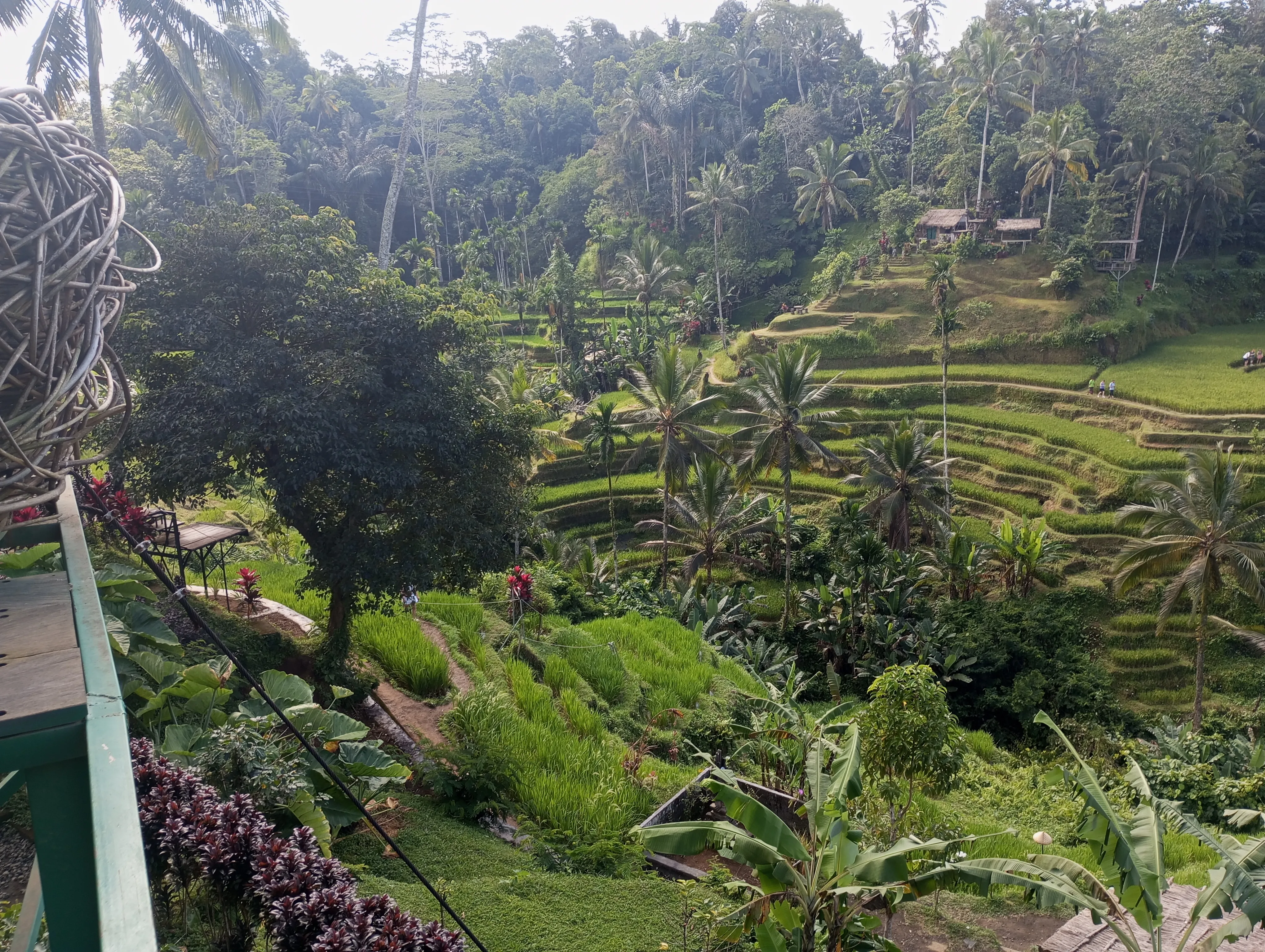 Wayan Bali Tour Service