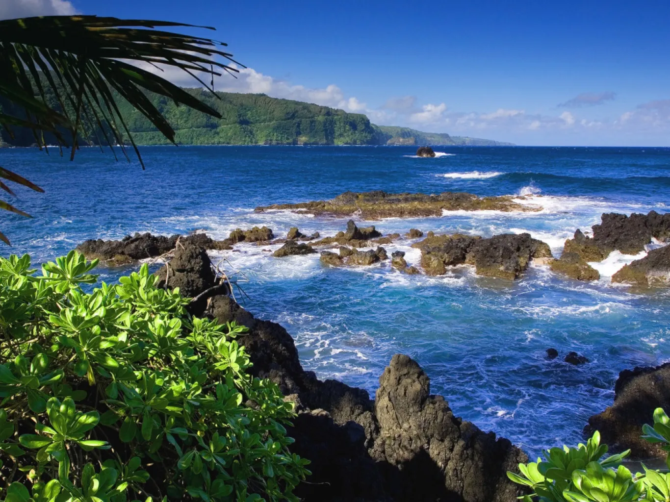 West Bali National Park